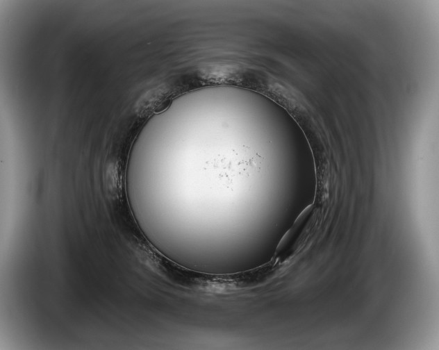 X0000086270420200704122033