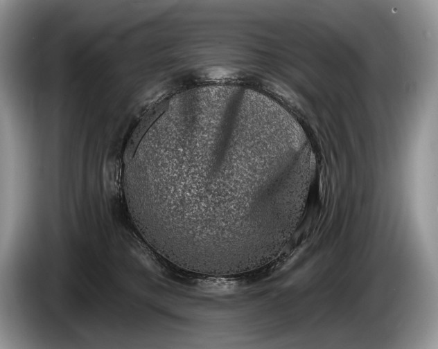 X0000086270421200704122033