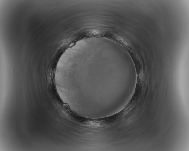 X0000086270423200704122033