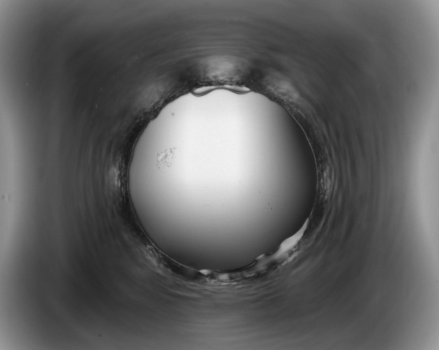 X0000086270424200704122033