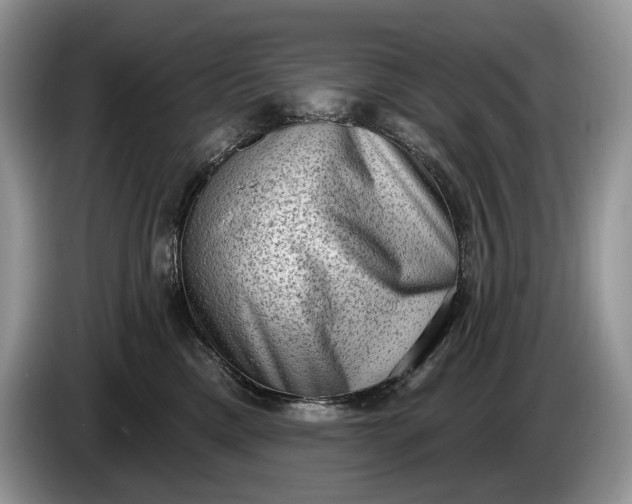 X0000086270425200704122033