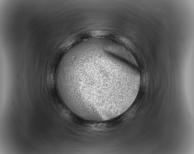 X0000086270426200704122033