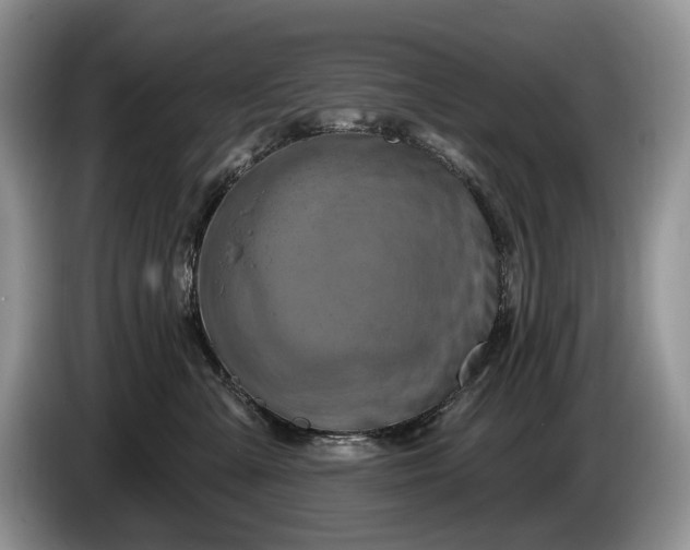 X0000086270427200704122033