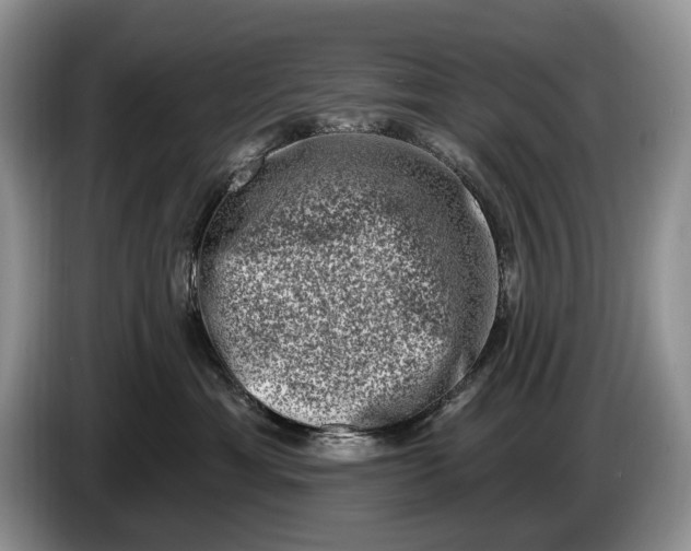 X0000086270429200704122033