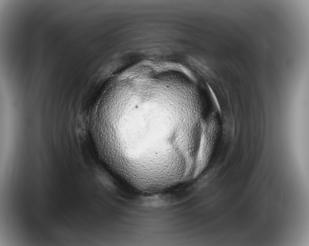 X0000086270430200704122033