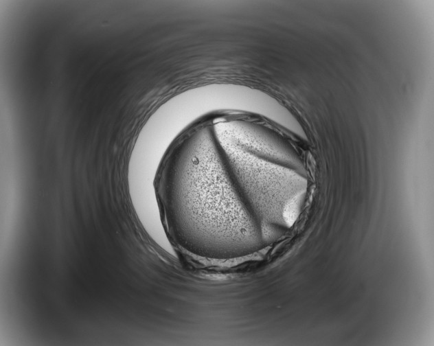 X0000086270432200704122032