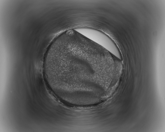 X0000086270434200704122032