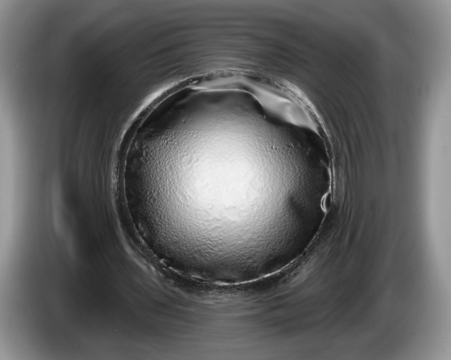 X0000086270435200704122032