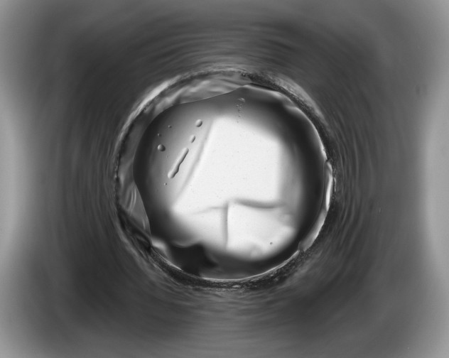 X0000086270436200704122032