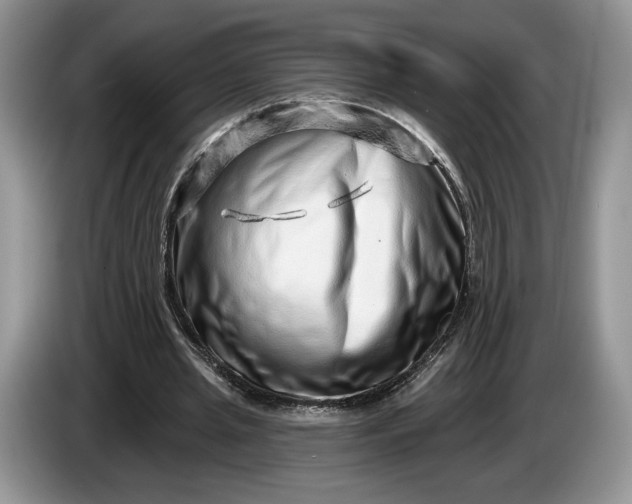 X0000086270437200704122032