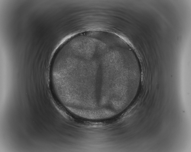 X0000086270438200704122032