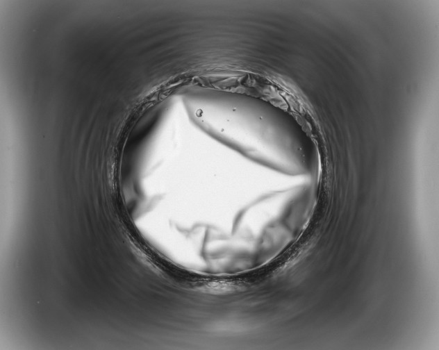 X0000086270441200704122032