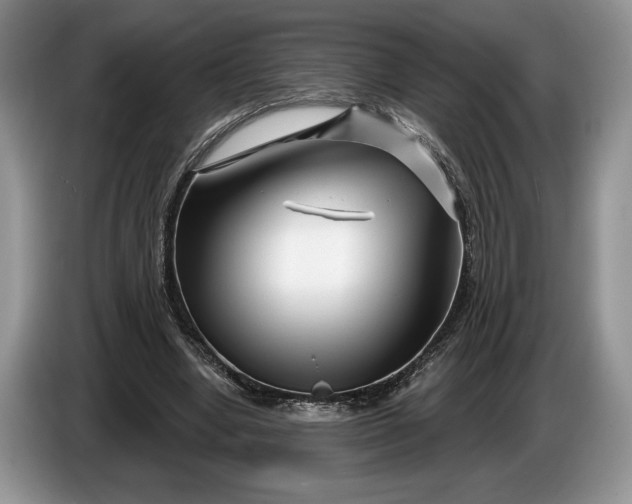 X0000086270442200704122032