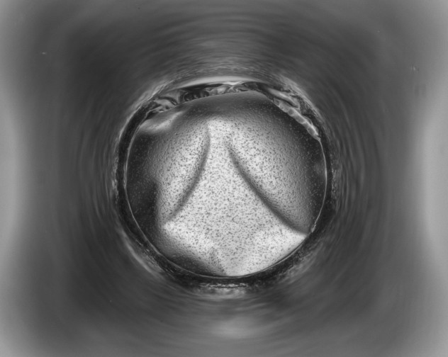 X0000086270443200704122032