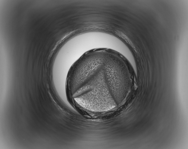 X0000086270444200704122032