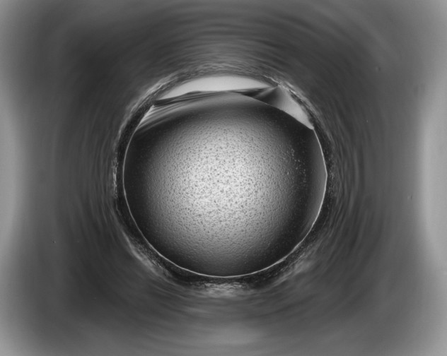 X0000086270446200704122032