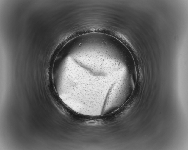 X0000086270447200704122032