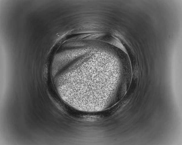 X0000086270448200704122032