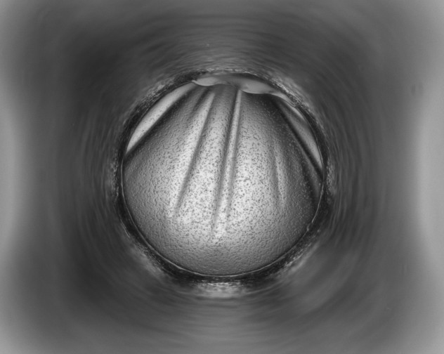 X0000086270449200704122032