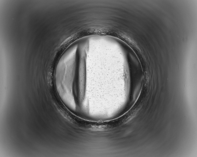 X0000086270450200704122032