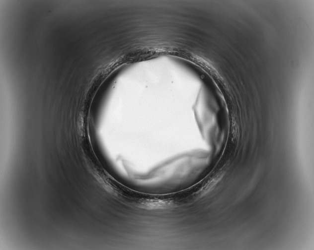 X0000086270453200704122032