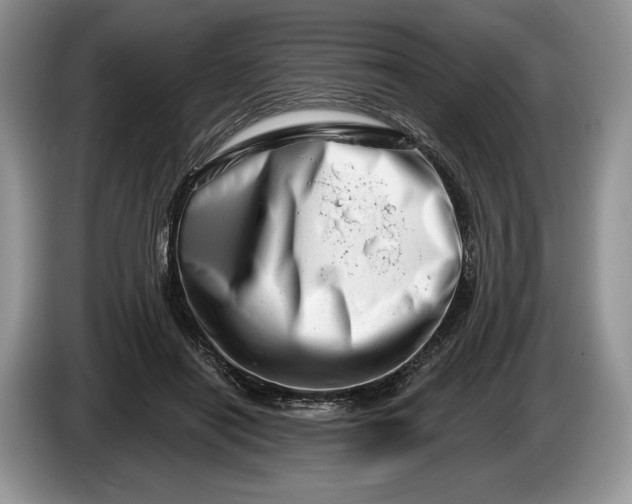 X0000086270454200704122032