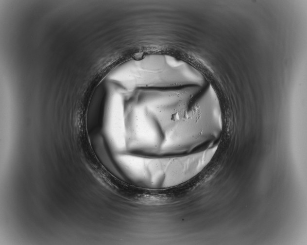 X0000086270455200704122032