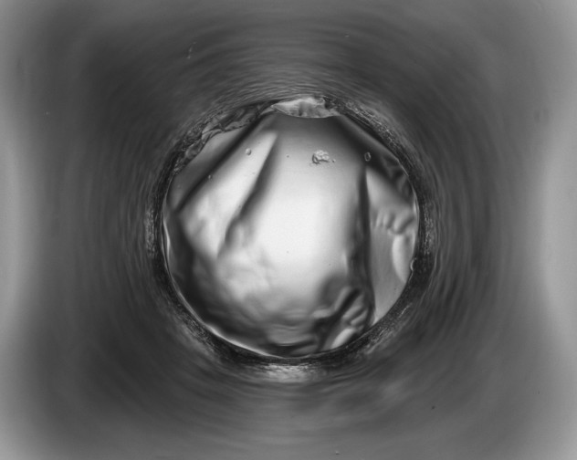 X0000086270457200704122032