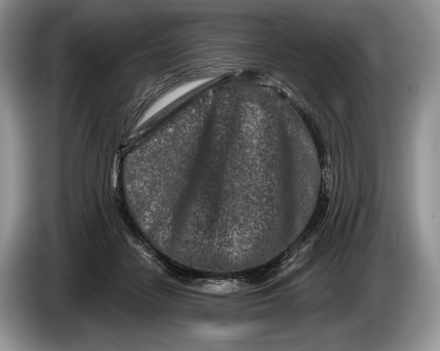 X0000086270458200704122032