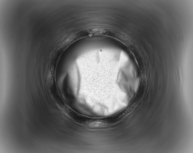 X0000086270460200704122032