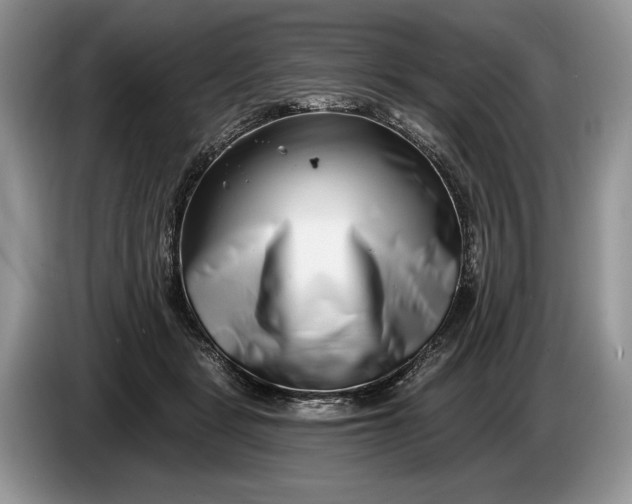 X0000086270461200704122032