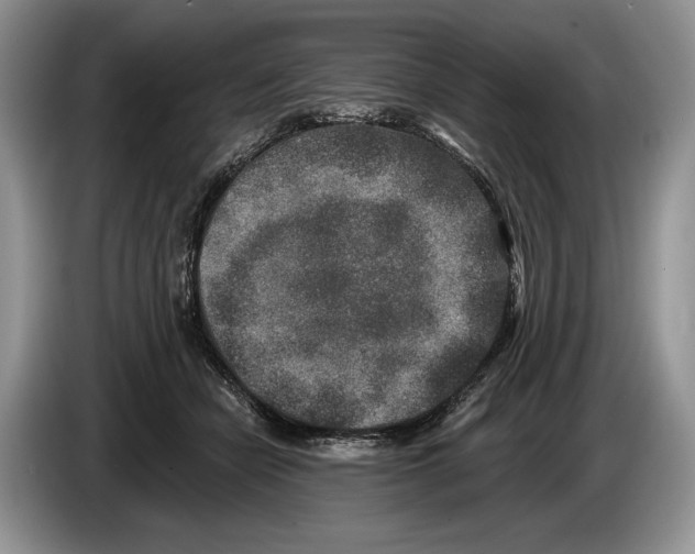 X0000086270462200704122032