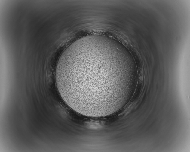 X0000086270464200704122032