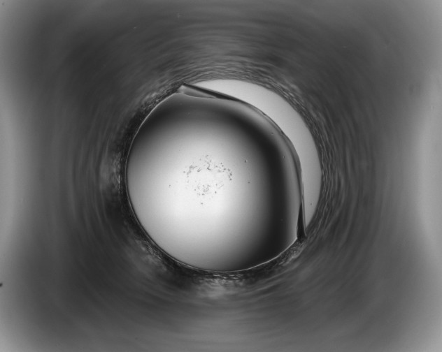 X0000086270466200704122032