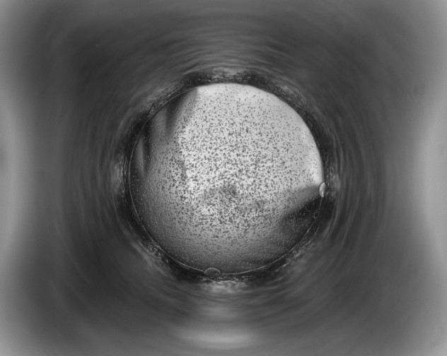 X0000086270468200704122032