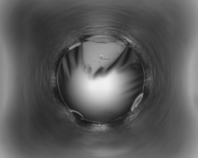 X0000086270469200704122032