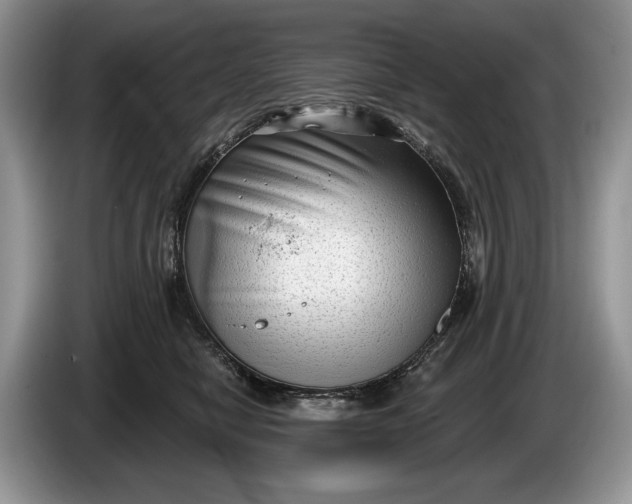 X0000086270470200704122032