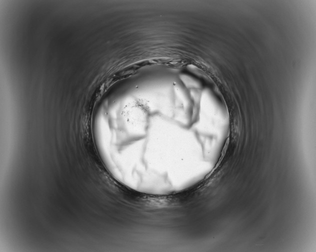 X0000086270473200704122032