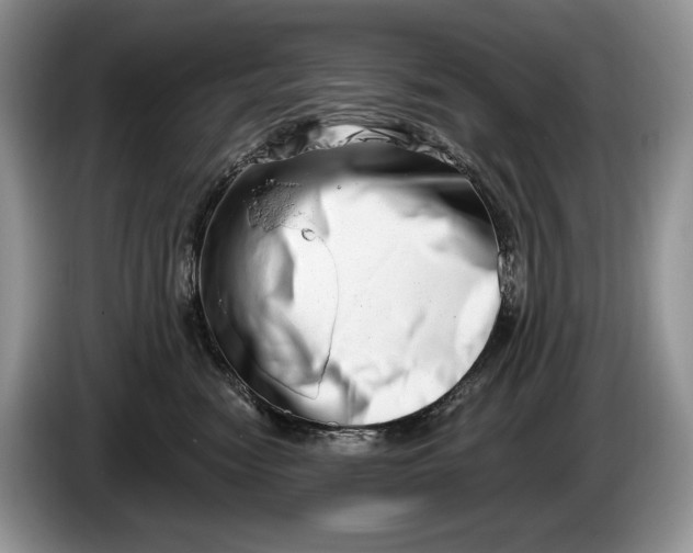 X0000086270474200704122032