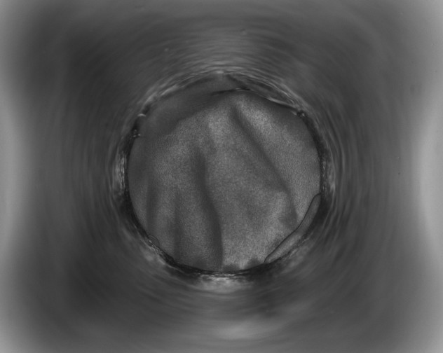 X0000086270475200704122032