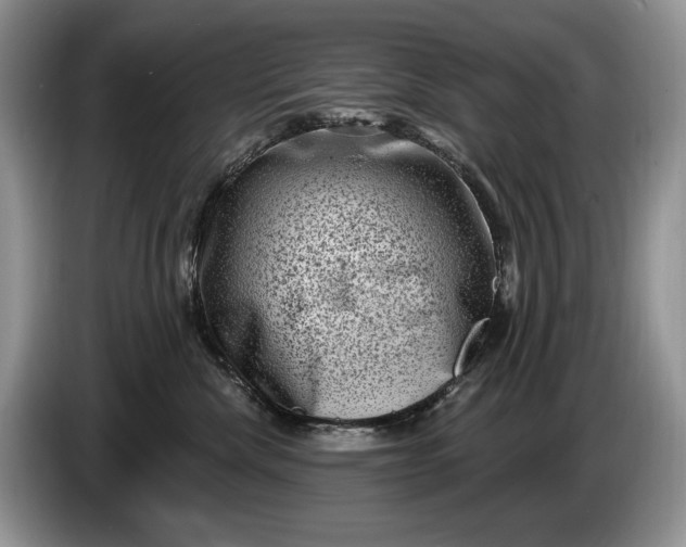 X0000086270476200704122032