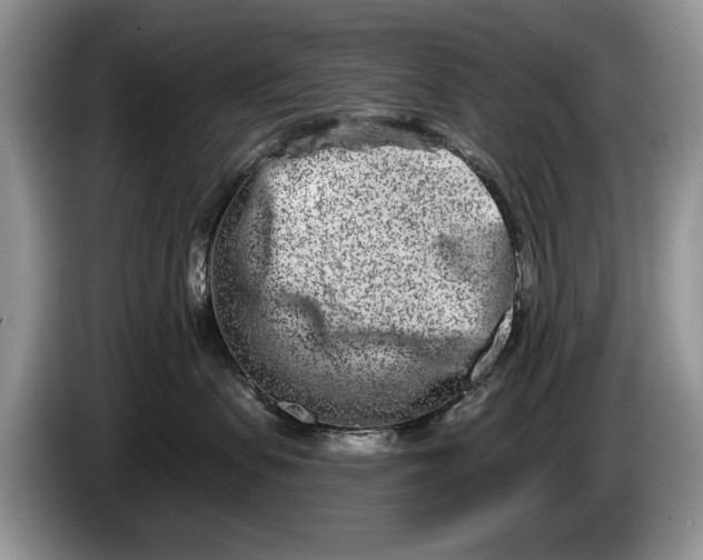 X0000086270479200704122032