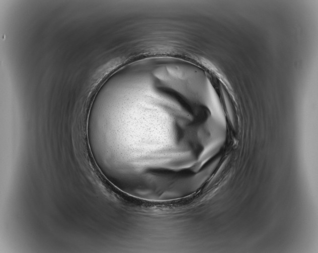 X0000086270481200704122032