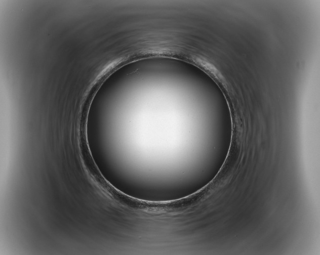 X0000086270482200704122032