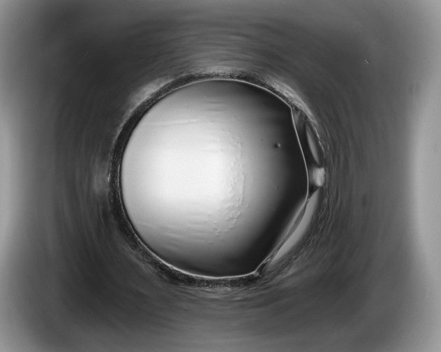 X0000086270483200704122032