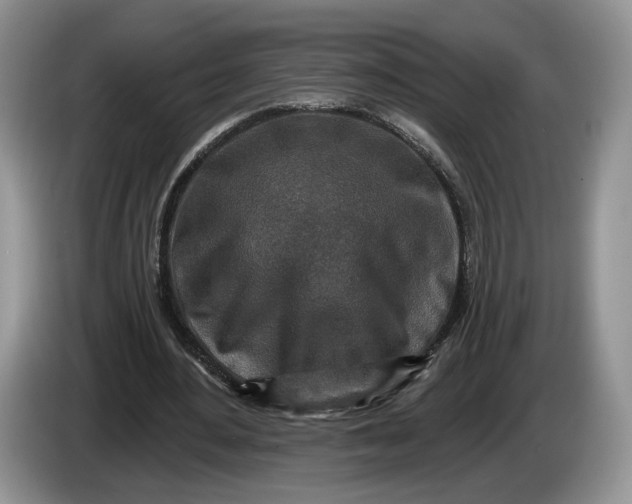 X0000086270484200704122032