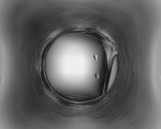 X0000086270486200704122032