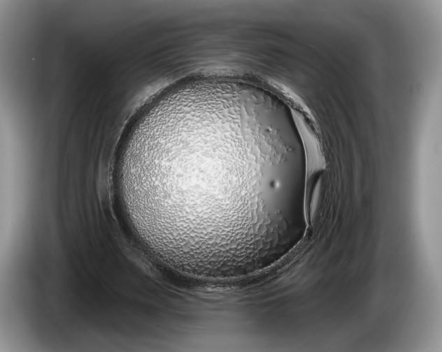 X0000086270487200704122032