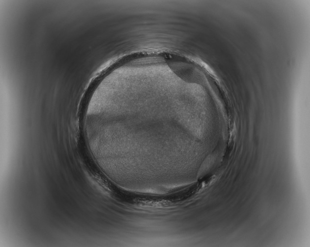 X0000086270488200704122032