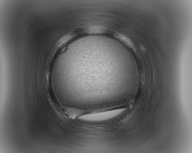 X0000086270491200704122032